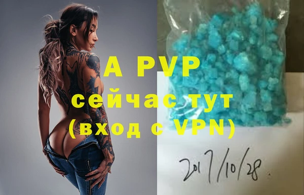 jwh Гусев