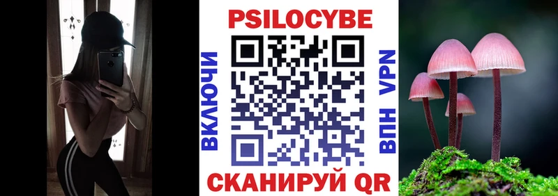 Купить закладки  Электросталь  Галлюциногенные грибы прущие грибы 